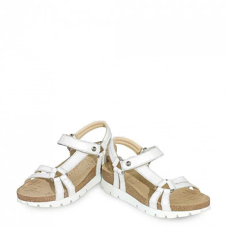 Store Sally Basics Vrouw Alles