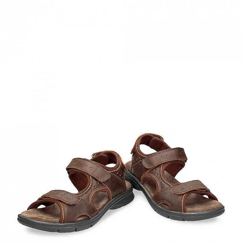Cheap Salton Basics Man Alles