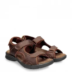 Cheap Salton Basics Man Alles