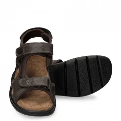 Clearance Salton Basics Man Alles