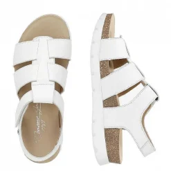 Best Sale Sammy Vrouw Alles