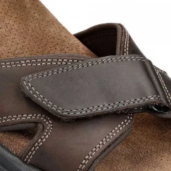 Best Sanders Basics Man Alles