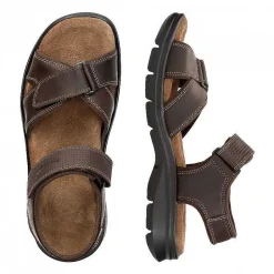 Best Sanders Basics Man Alles