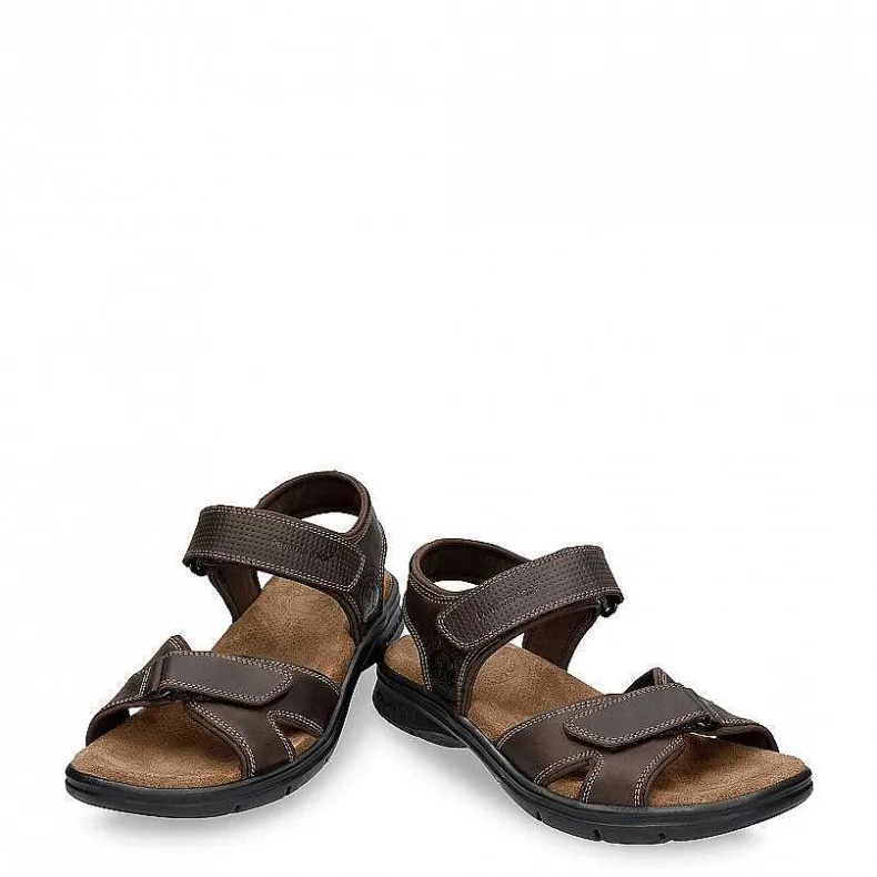 Best Sanders Basics Man Sandalen