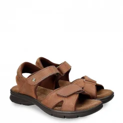 Discount Sanders Basics Man Alles