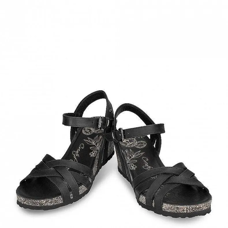 New Vera Basics Vrouw Alles